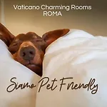 Vaticano Charming Rooms